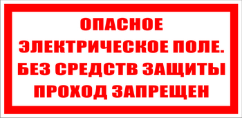 S13 Опасное электрическое поле. без средств защиты проход запрещен - Знаки безопасности - Знаки по электробезопасности - ohrana.inoy.org